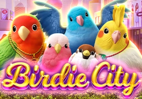 30-bindie-city